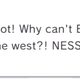 Illustration for article titled Western Earthbound Fans Spam the Japanese Mother 2 MiiVerse Demanding a Western Release
